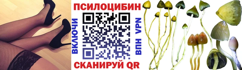 это какой сайт  цена   Лысьва  Галлюциногенные грибы Cubensis 